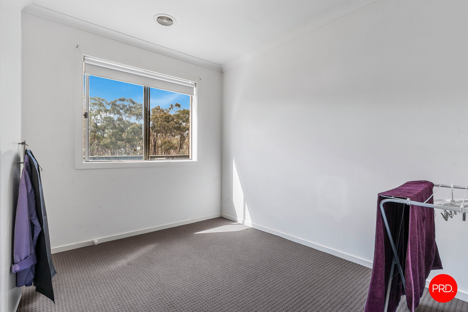 29 Saltbush Street JACKASS FLAT 11