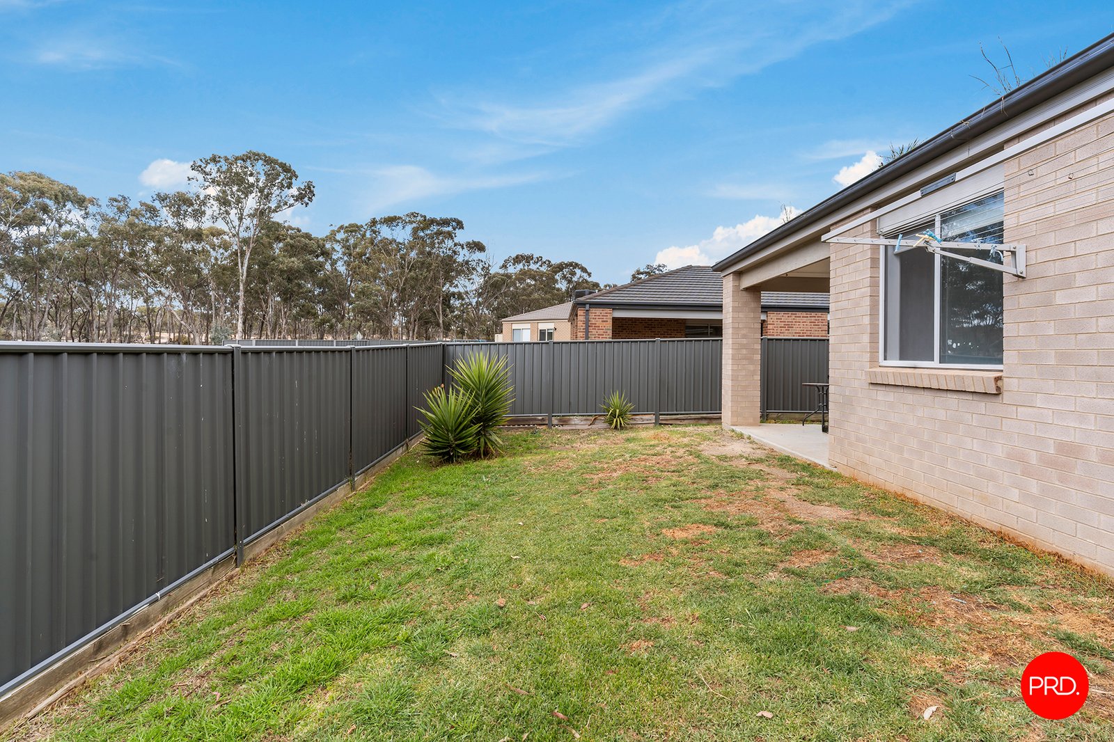 29 Saltbush Street JACKASS FLAT 15