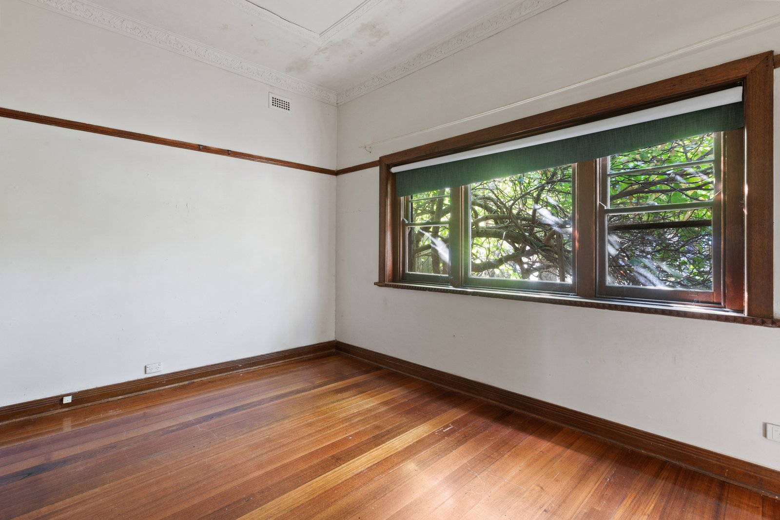 Gallery: 29 Thompson Street