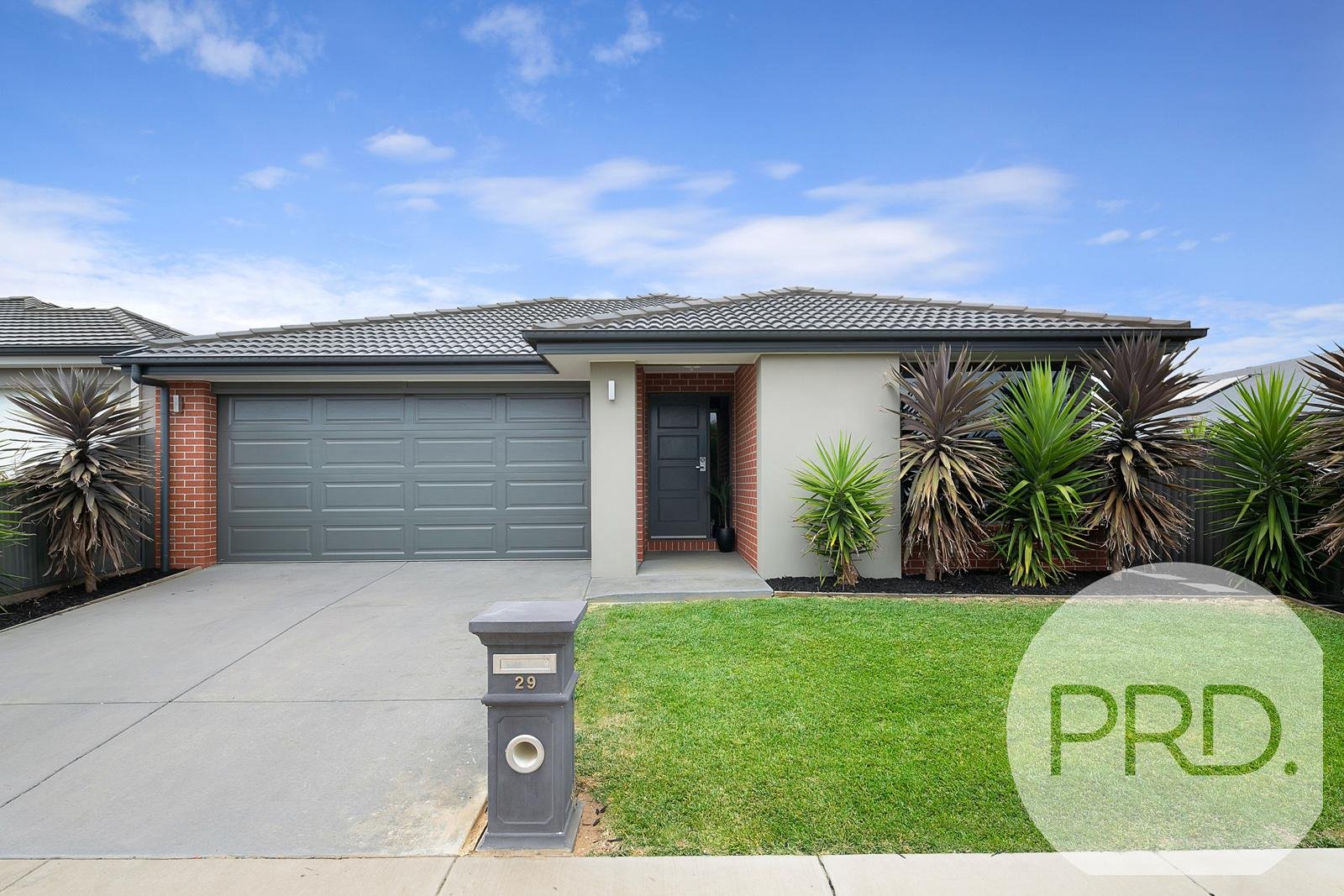 29 Wilmot Street LUCAS 1