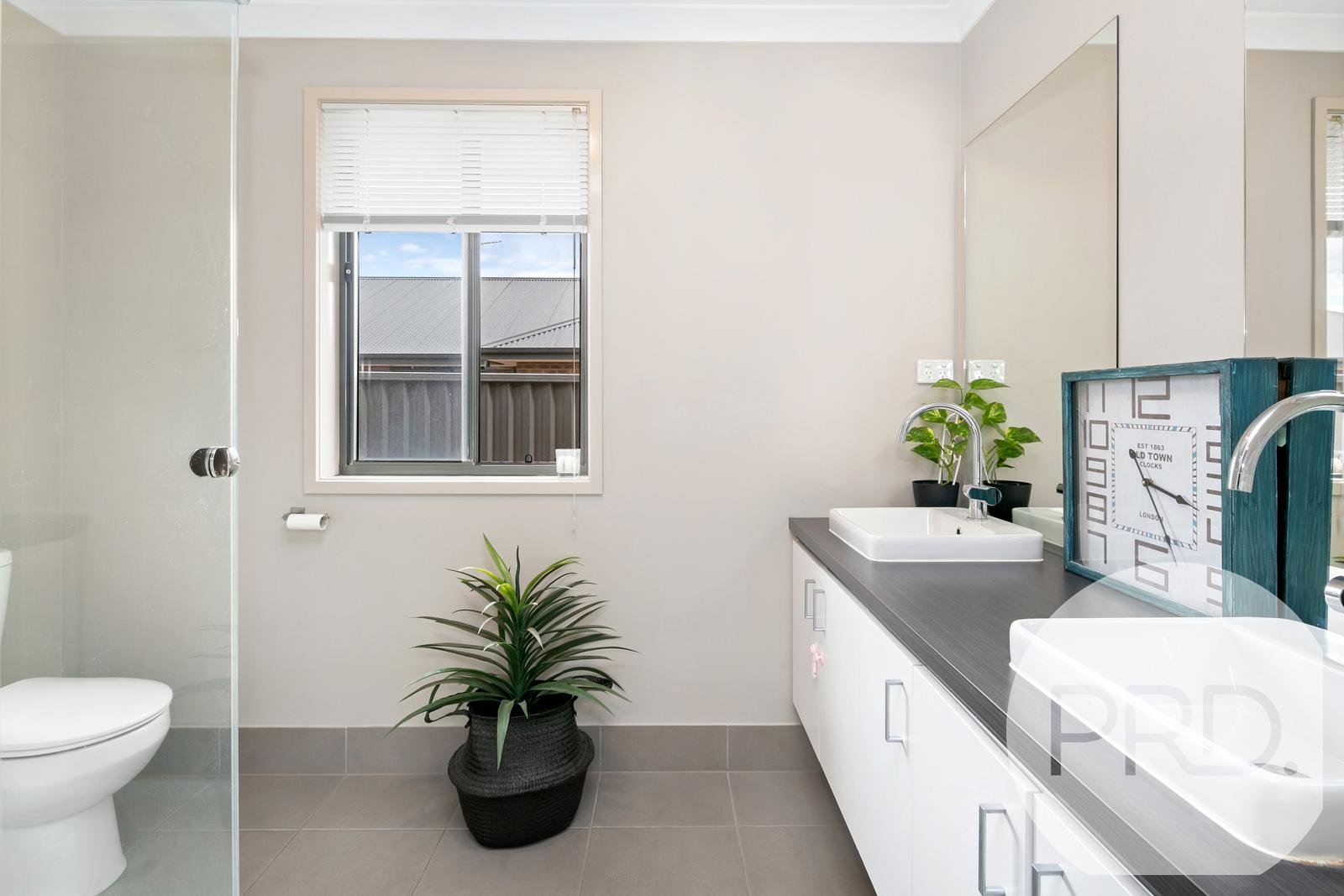 29 Wilmot Street LUCAS 3