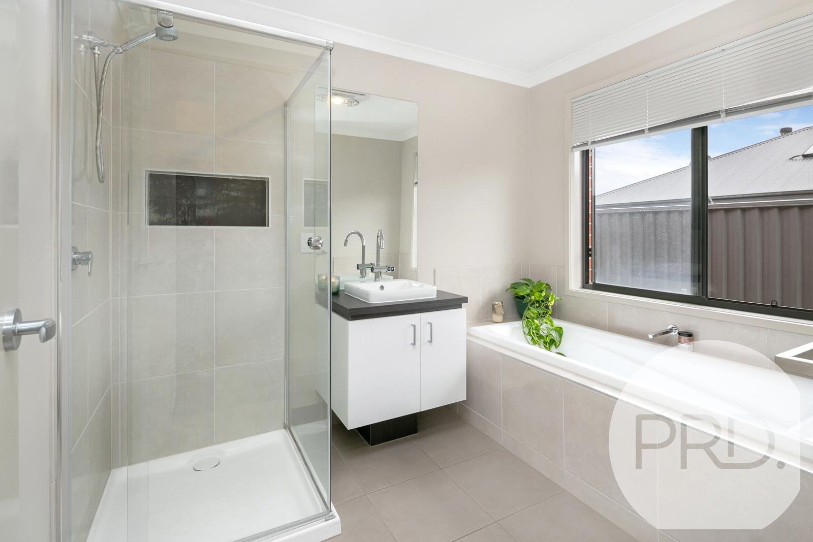 29 Wilmot Street LUCAS 5