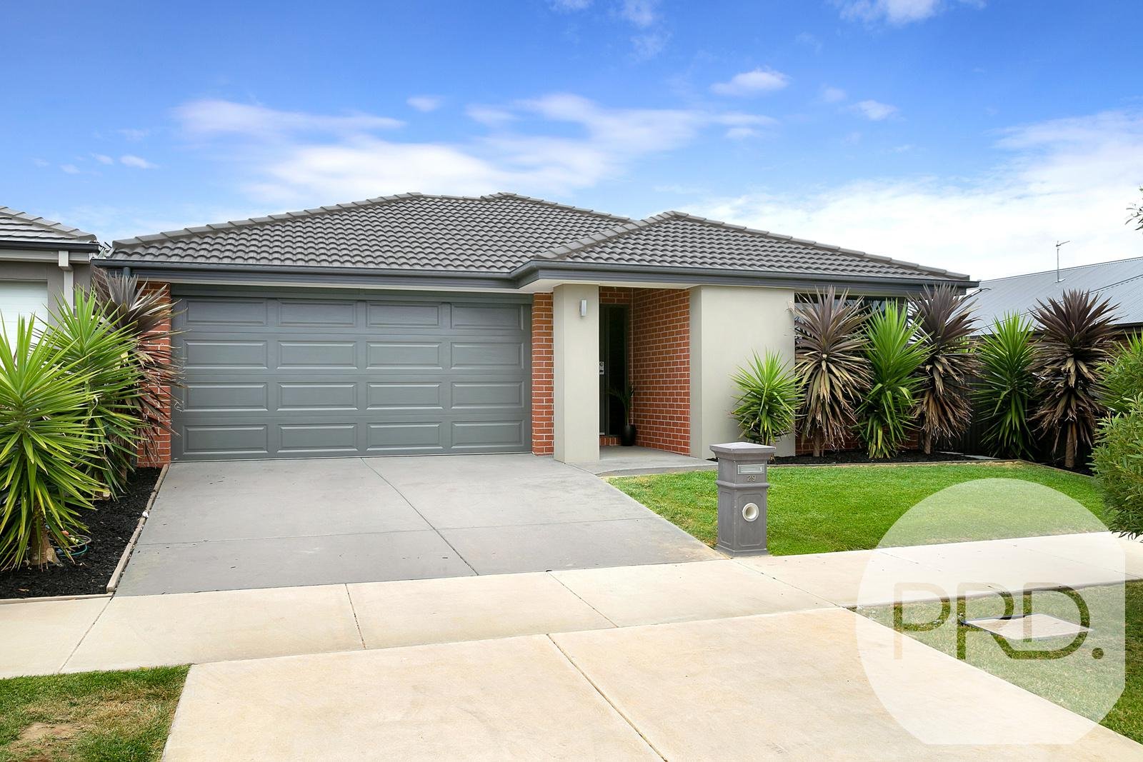 29 Wilmot Street LUCAS 14