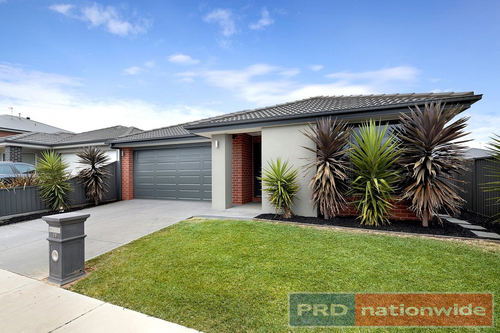 29 Wilmott Street Lucas 15