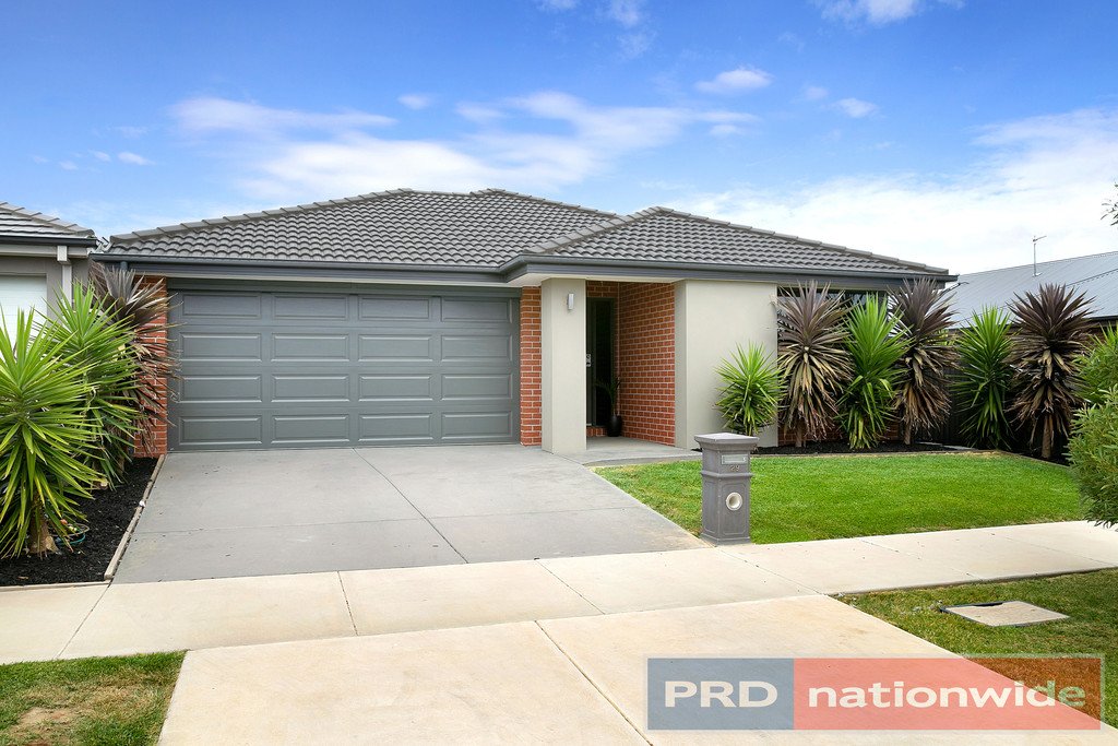 29 Wilmott Street Lucas 16