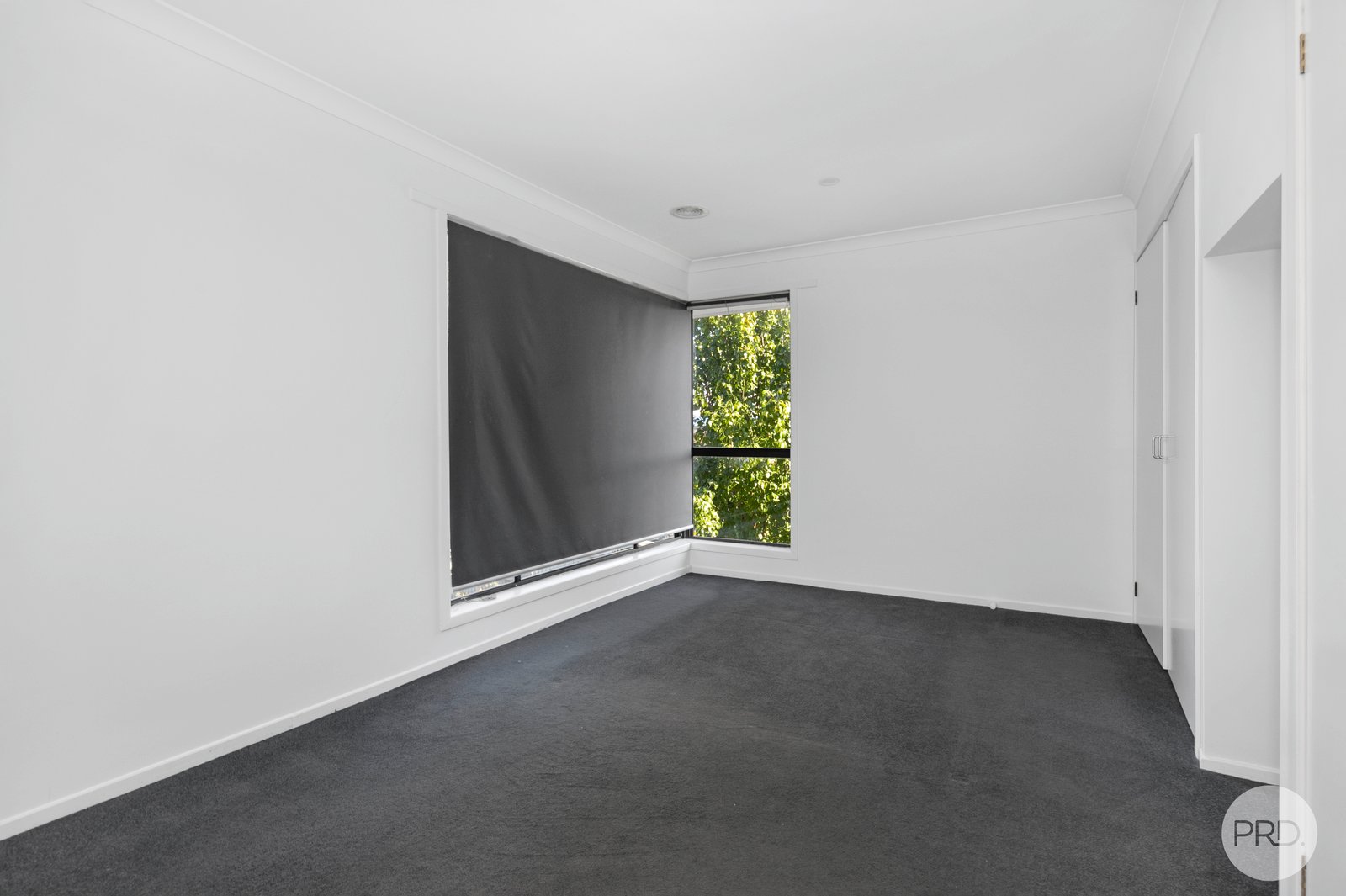 29 Young Street GOLDEN POINT 7