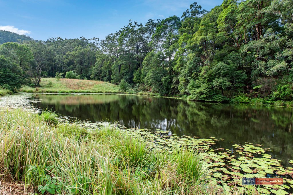 290-290a North Boambee Road NORTH BOAMBEE VALLEY 11