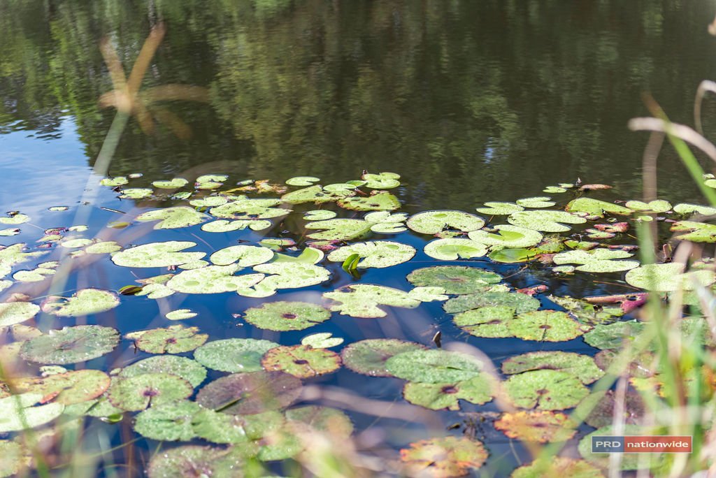 290-290a North Boambee Road NORTH BOAMBEE VALLEY 26