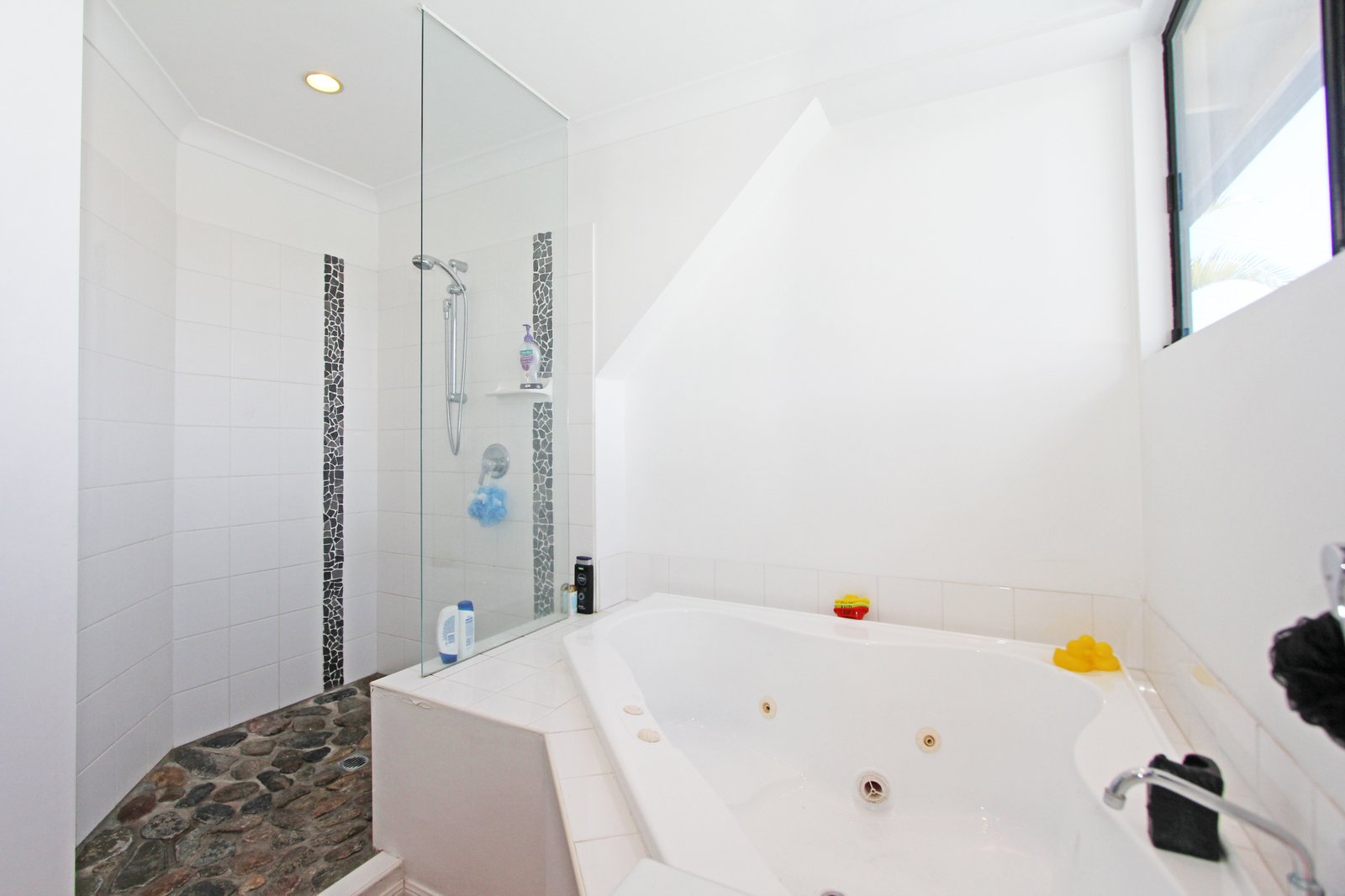 290A Cotlew Street West ASHMORE 11