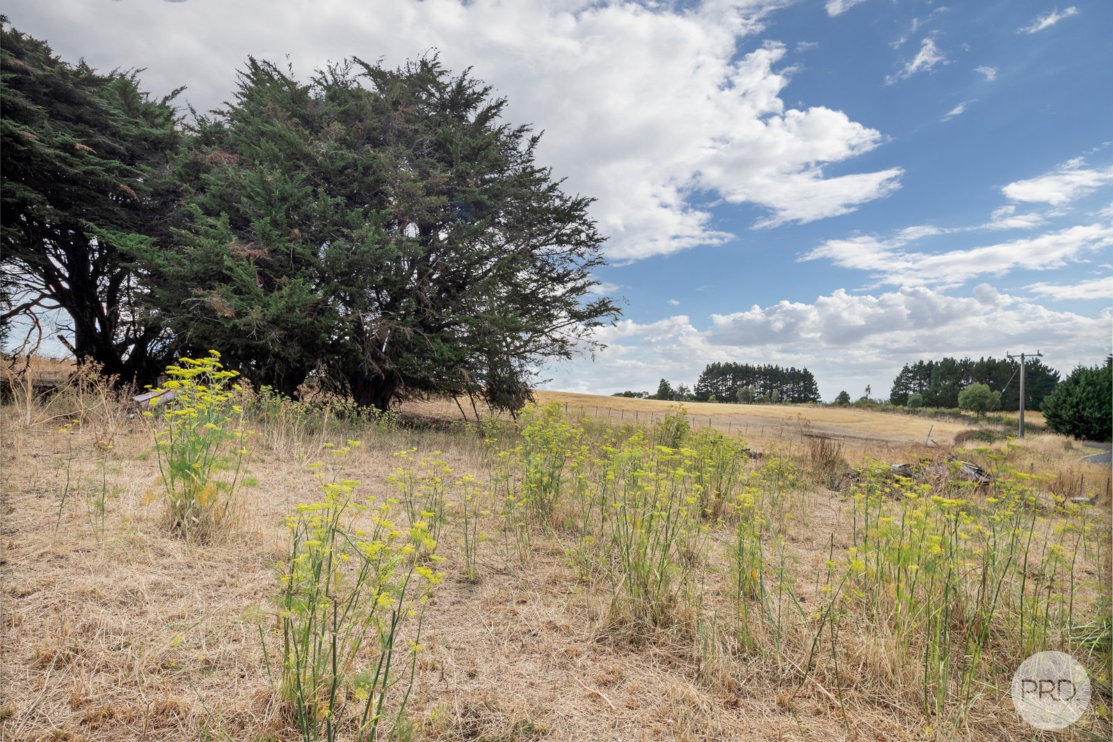 2914 Old Melbourne Road DUNNSTOWN 16