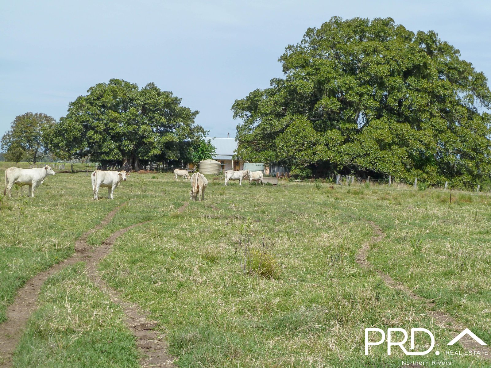 2920 Casino Coraki Road TATHAM 13