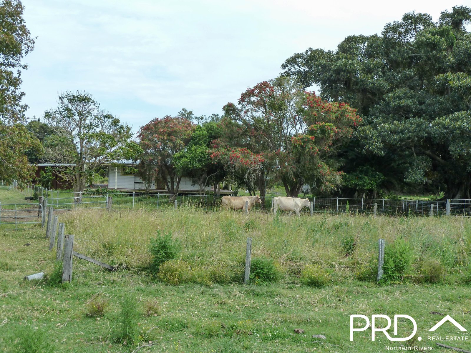 2920 Casino Coraki Road TATHAM 32