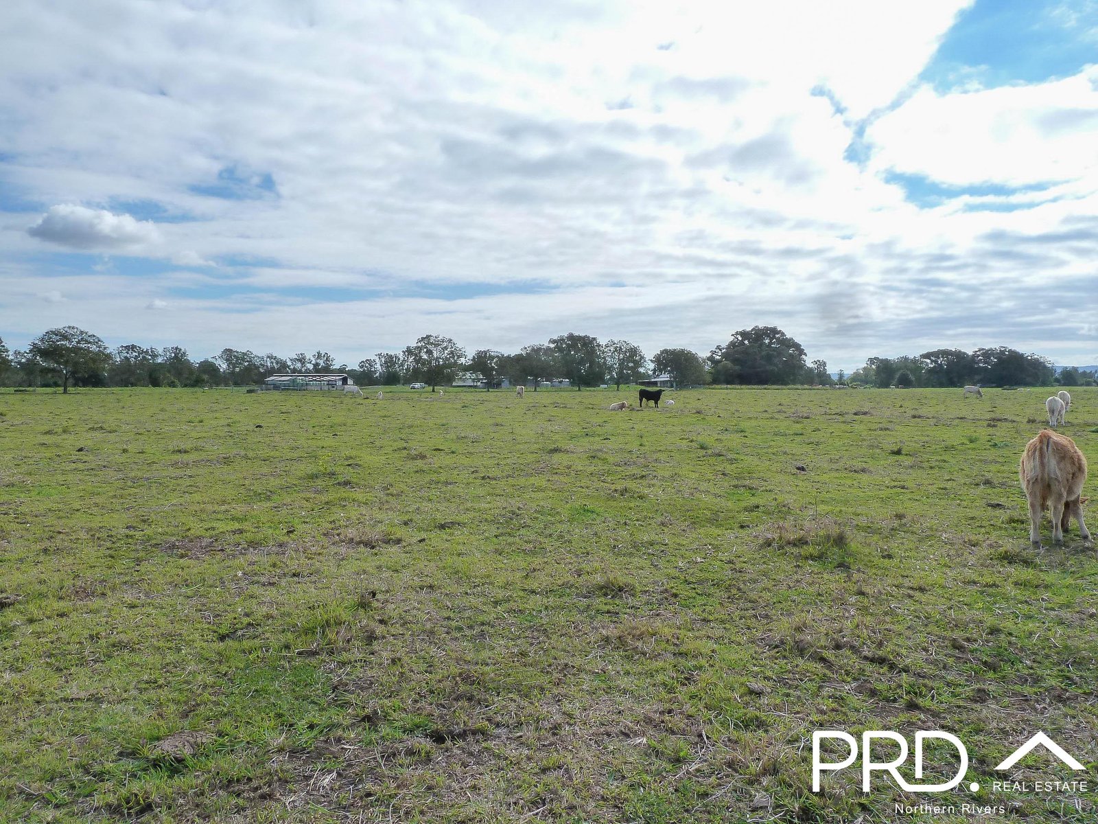 2920 Casino Coraki Road TATHAM 34