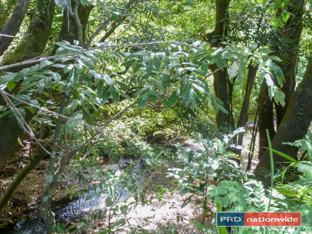 2922 Bentley Road KYOGLE 20