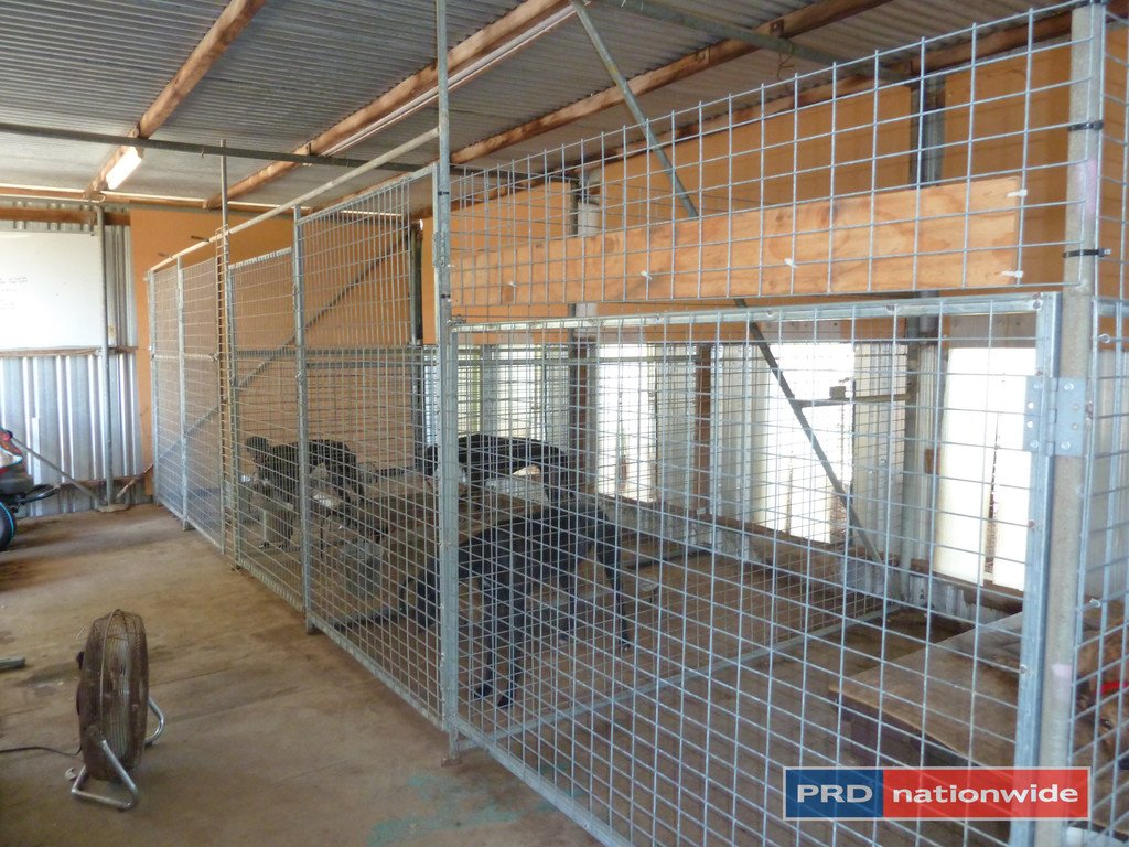 2922 Bentley Road KYOGLE 21