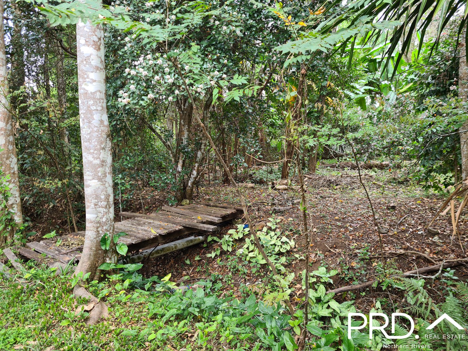 294 Gungas Road NIMBIN 15