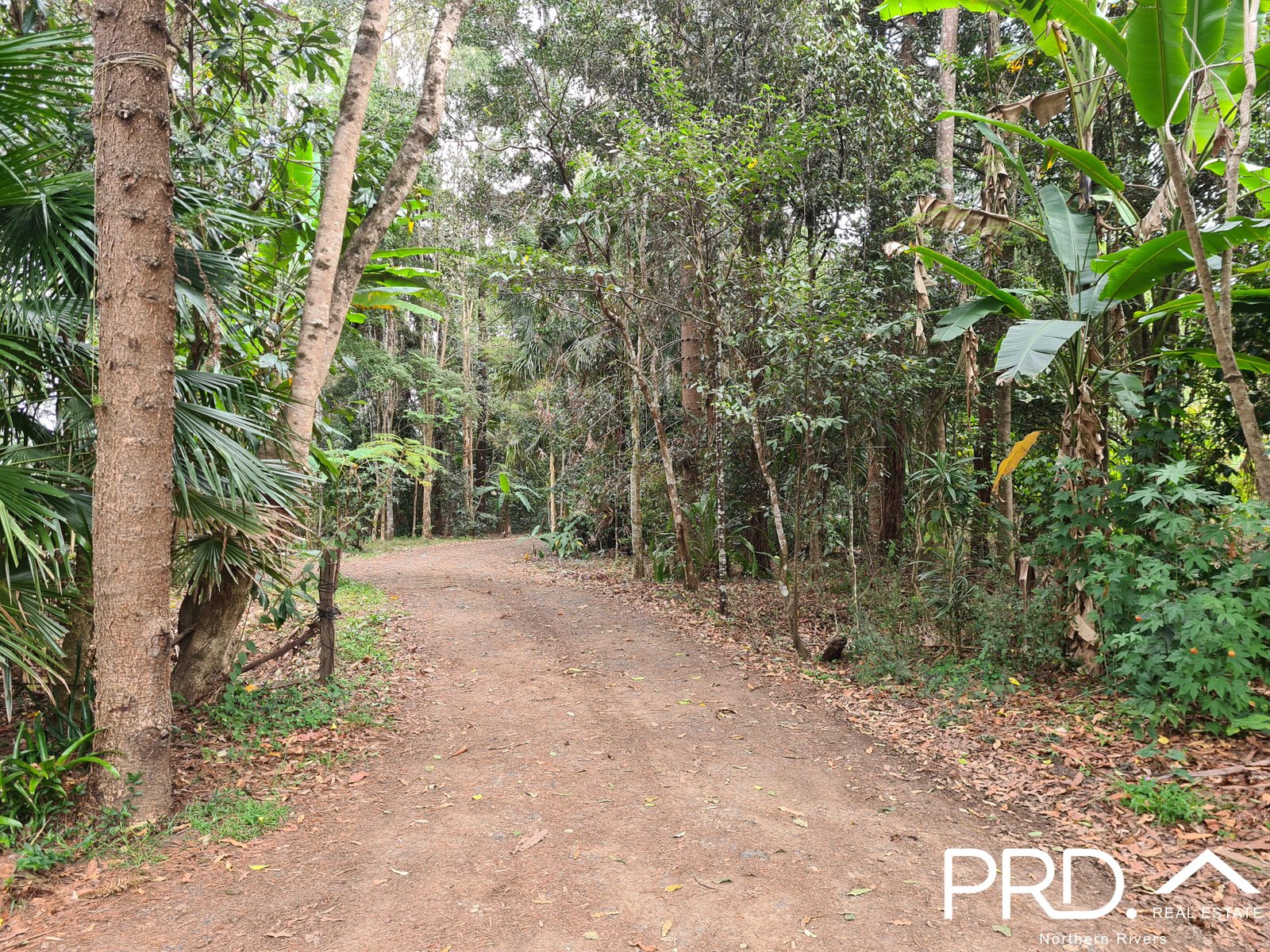 294 Gungas Road NIMBIN 16