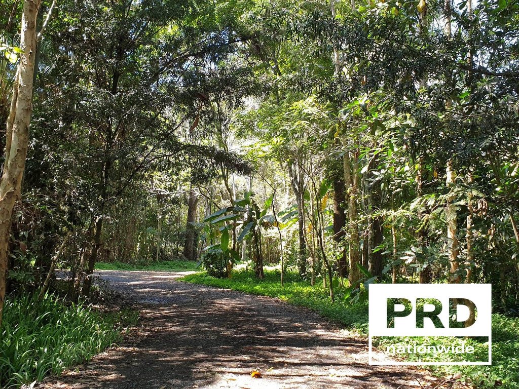 294 Gungas Road NIMBIN 11