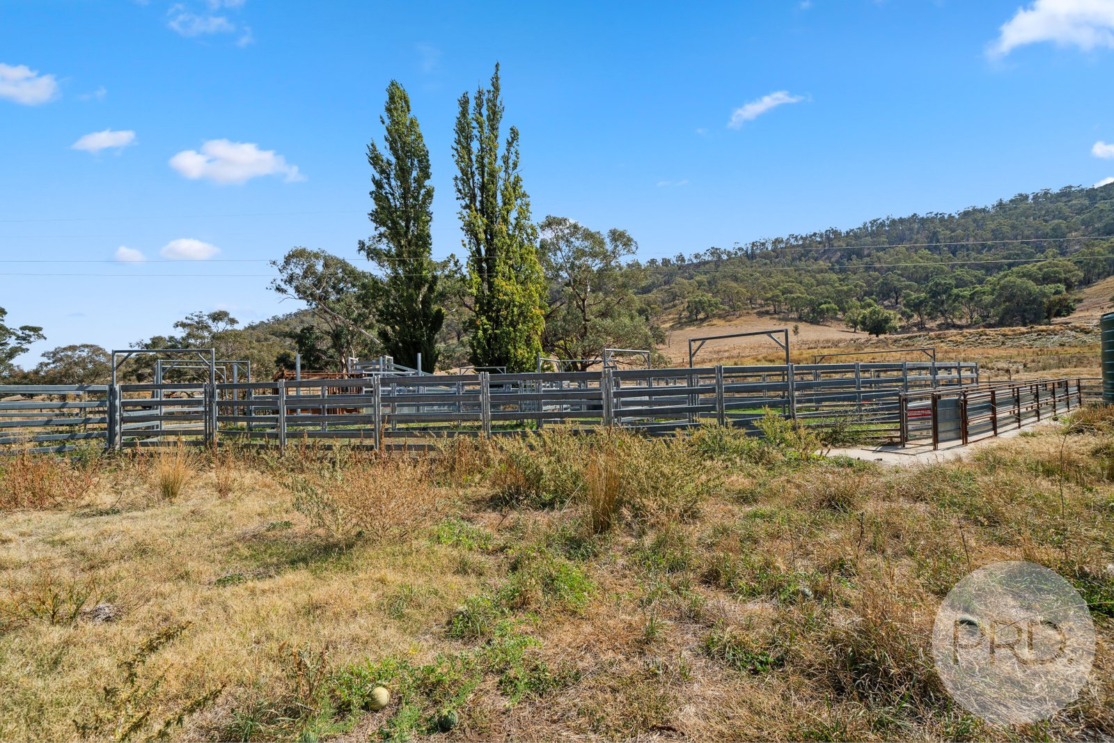 294 Stewarts Road OBERNE CREEK 15