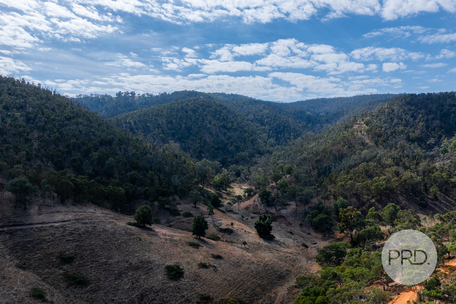 294 Stewarts Road OBERNE CREEK 20