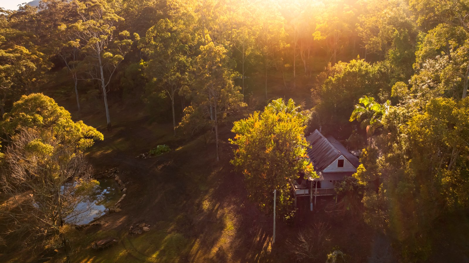 2941 Nerang Murwillumbah Road NATURAL BRIDGE 3