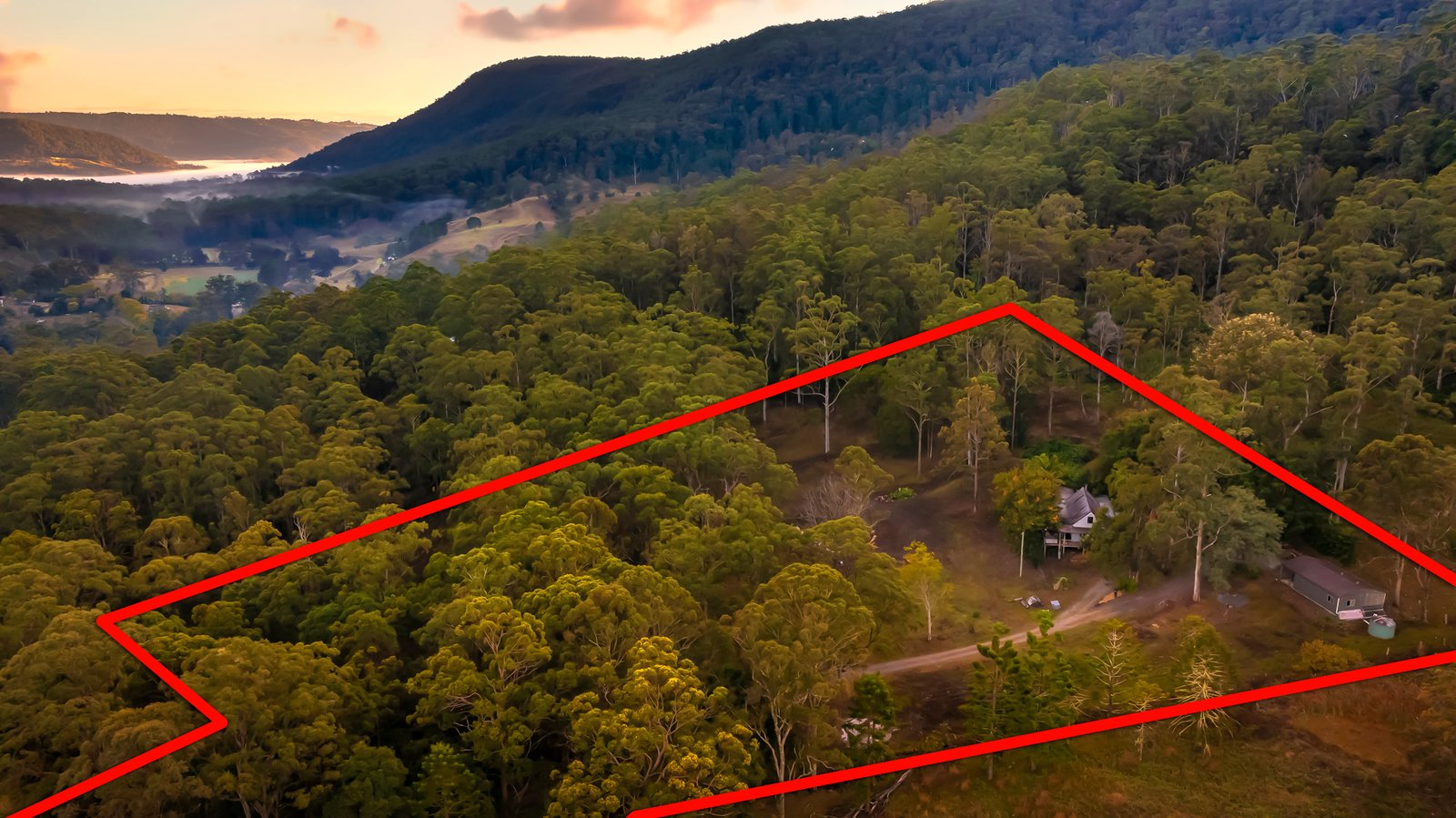 2941 Nerang Murwillumbah Road NATURAL BRIDGE 5