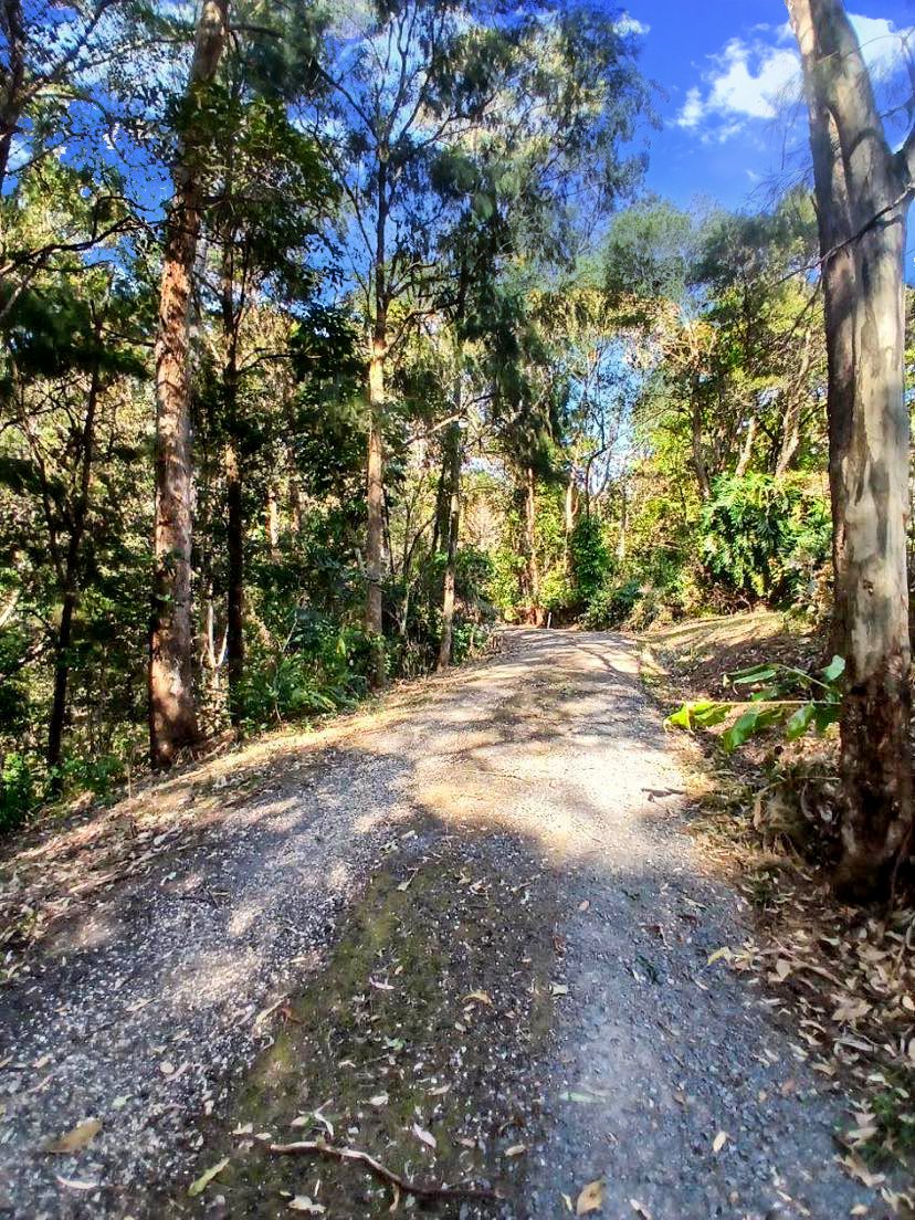 2941 Nerang Murwillumbah Road NATURAL BRIDGE 15