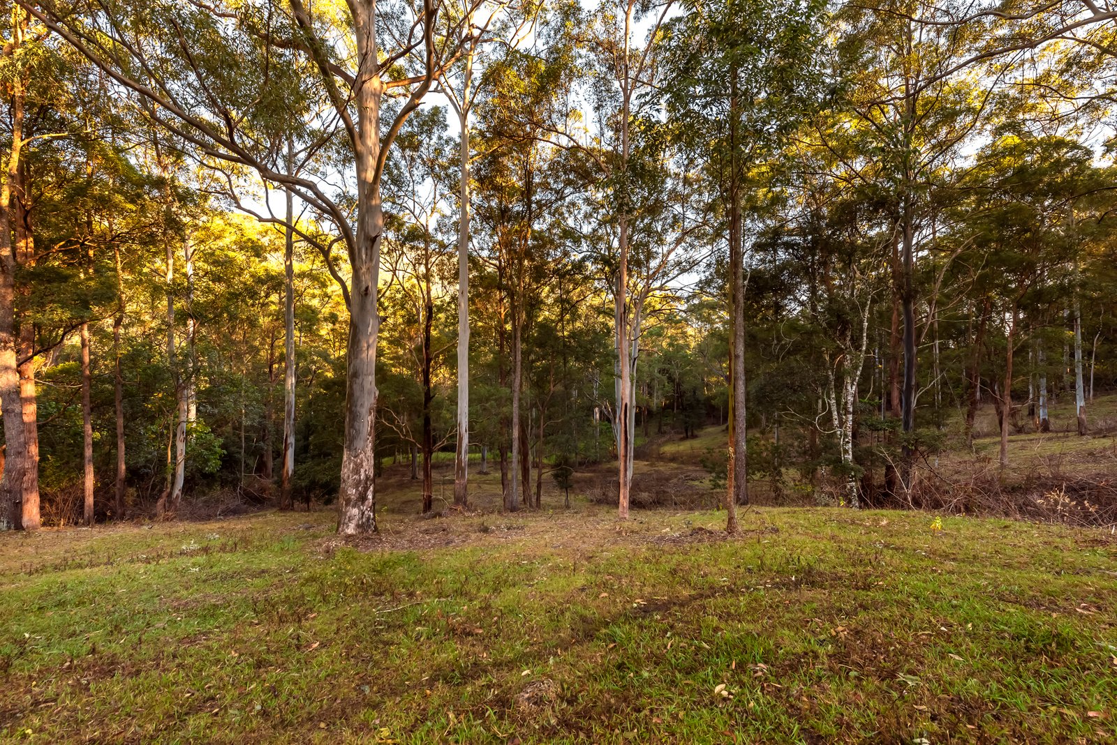 2941 Nerang Murwillumbah Road NATURAL BRIDGE 19