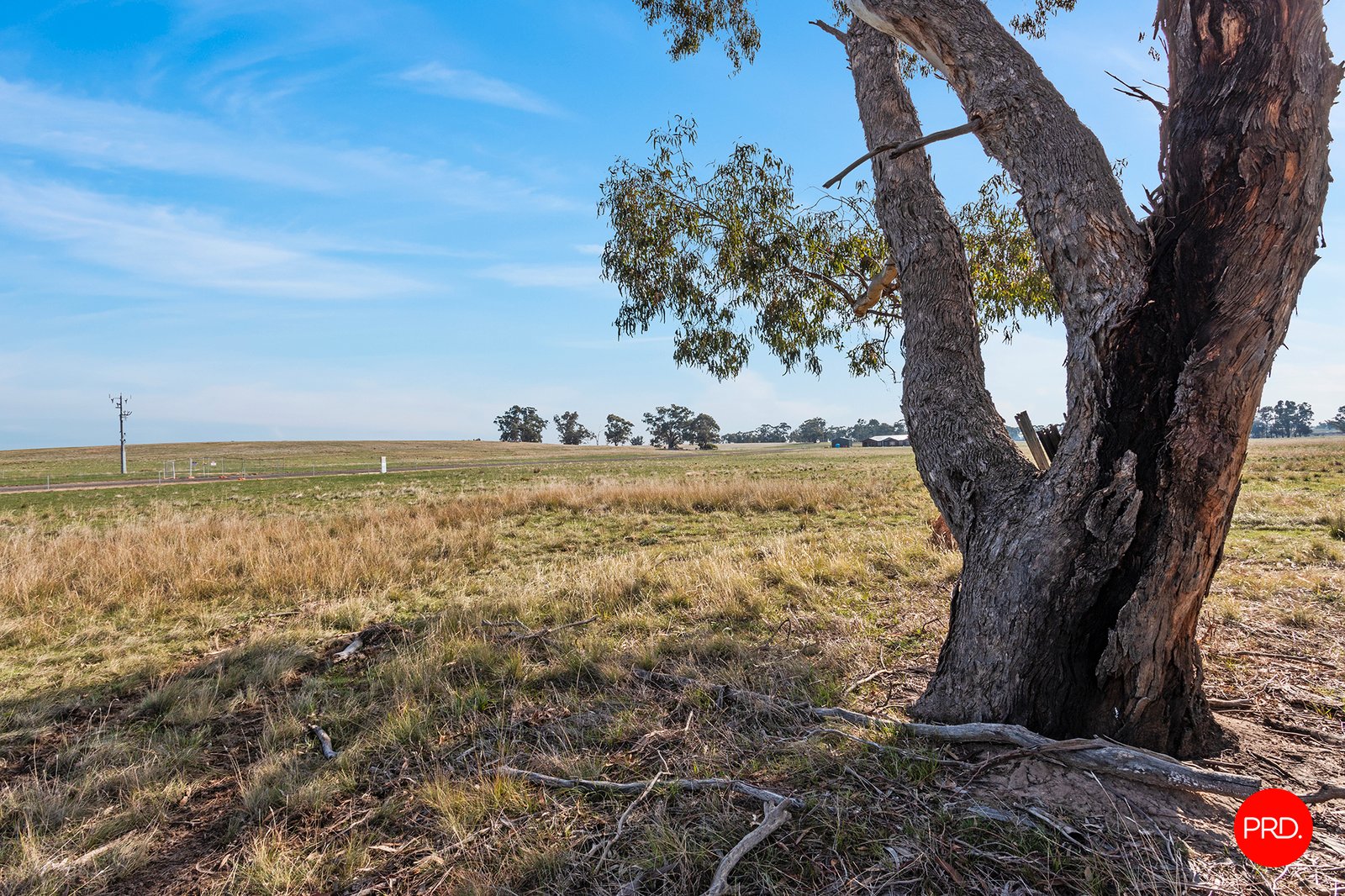 295 Pethericks Road GOORNONG 7