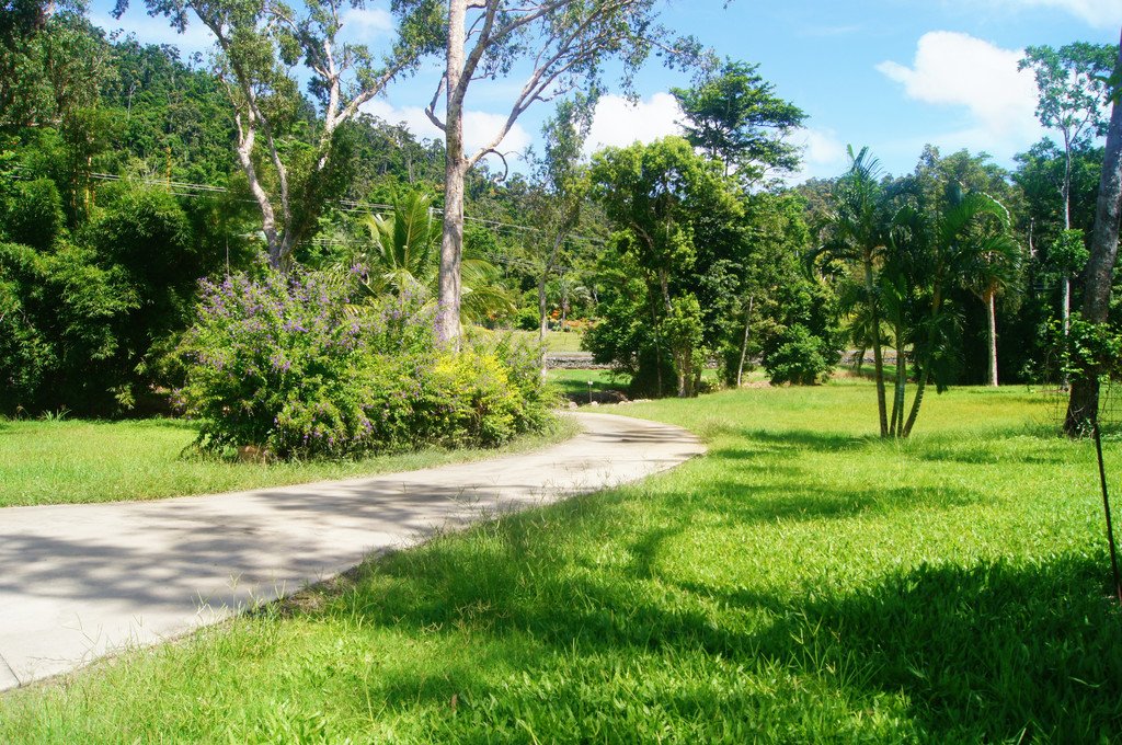 2951 Shute Harbour Road FLAMETREE 17