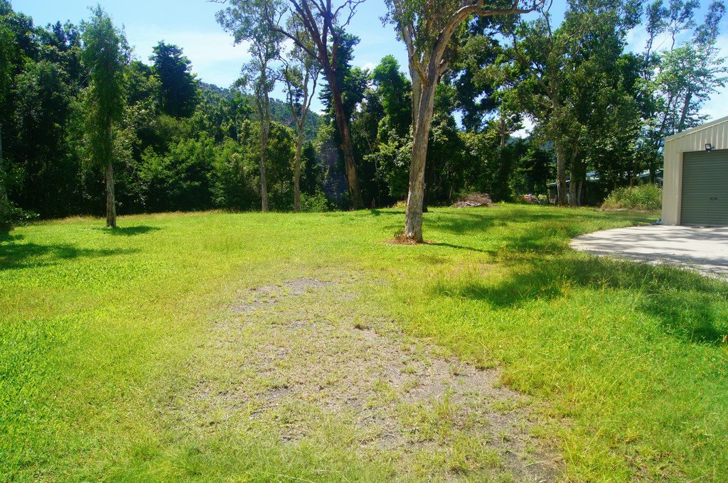 2951 Shute Harbour Road FLAMETREE 18