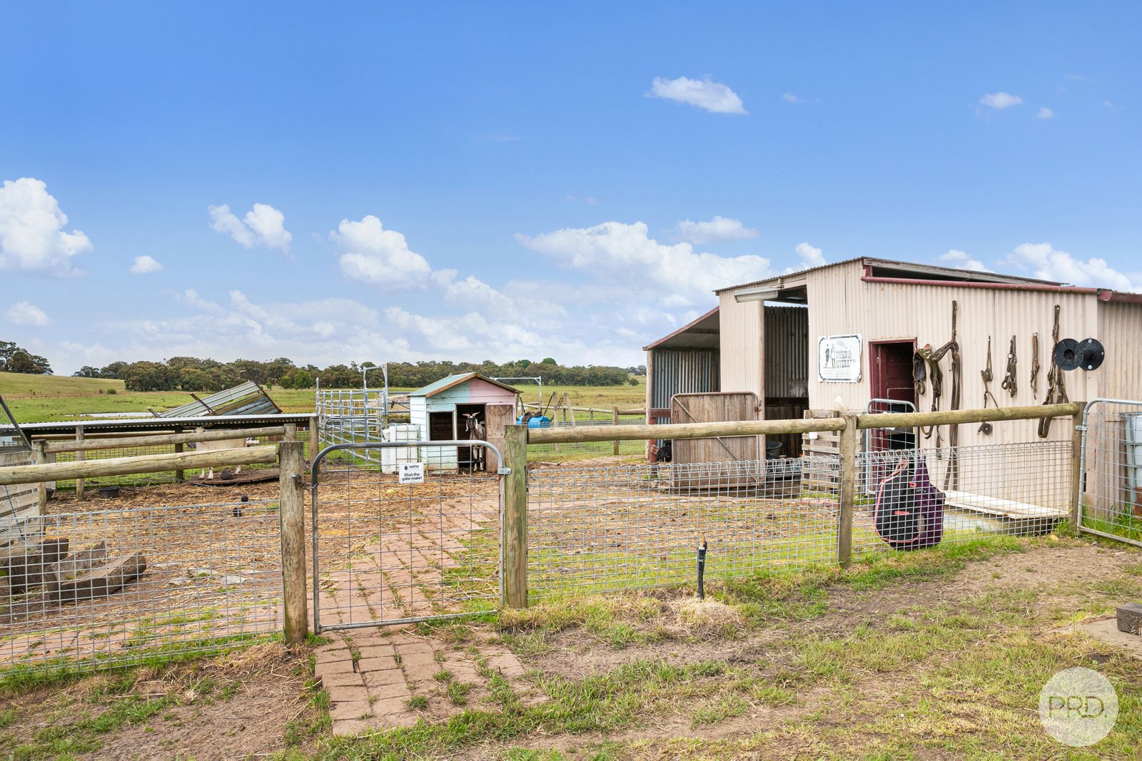 296 Happy Valley Road HAPPY VALLEY 14