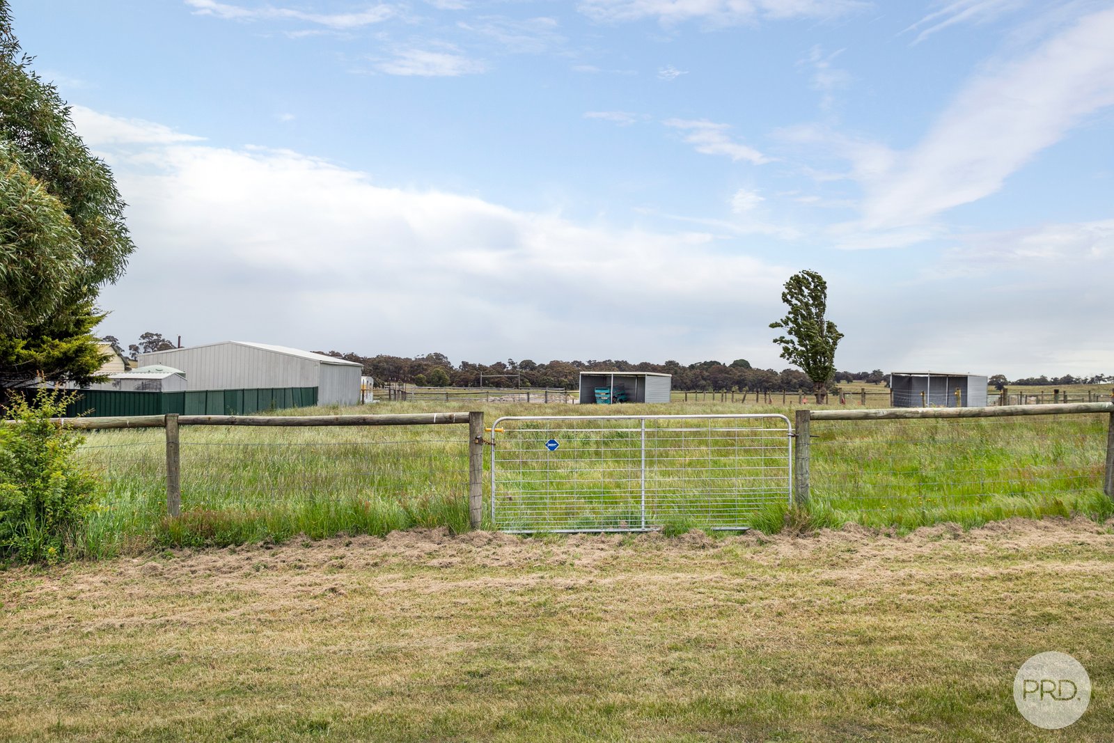 296 Happy Valley Road HAPPY VALLEY 15