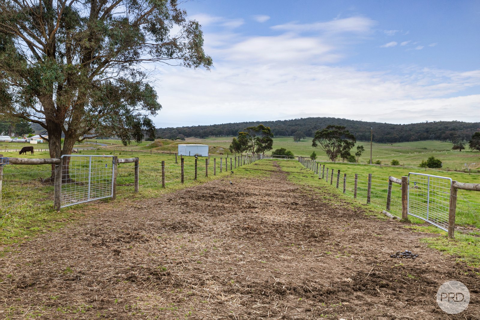 296 Happy Valley Road HAPPY VALLEY 16