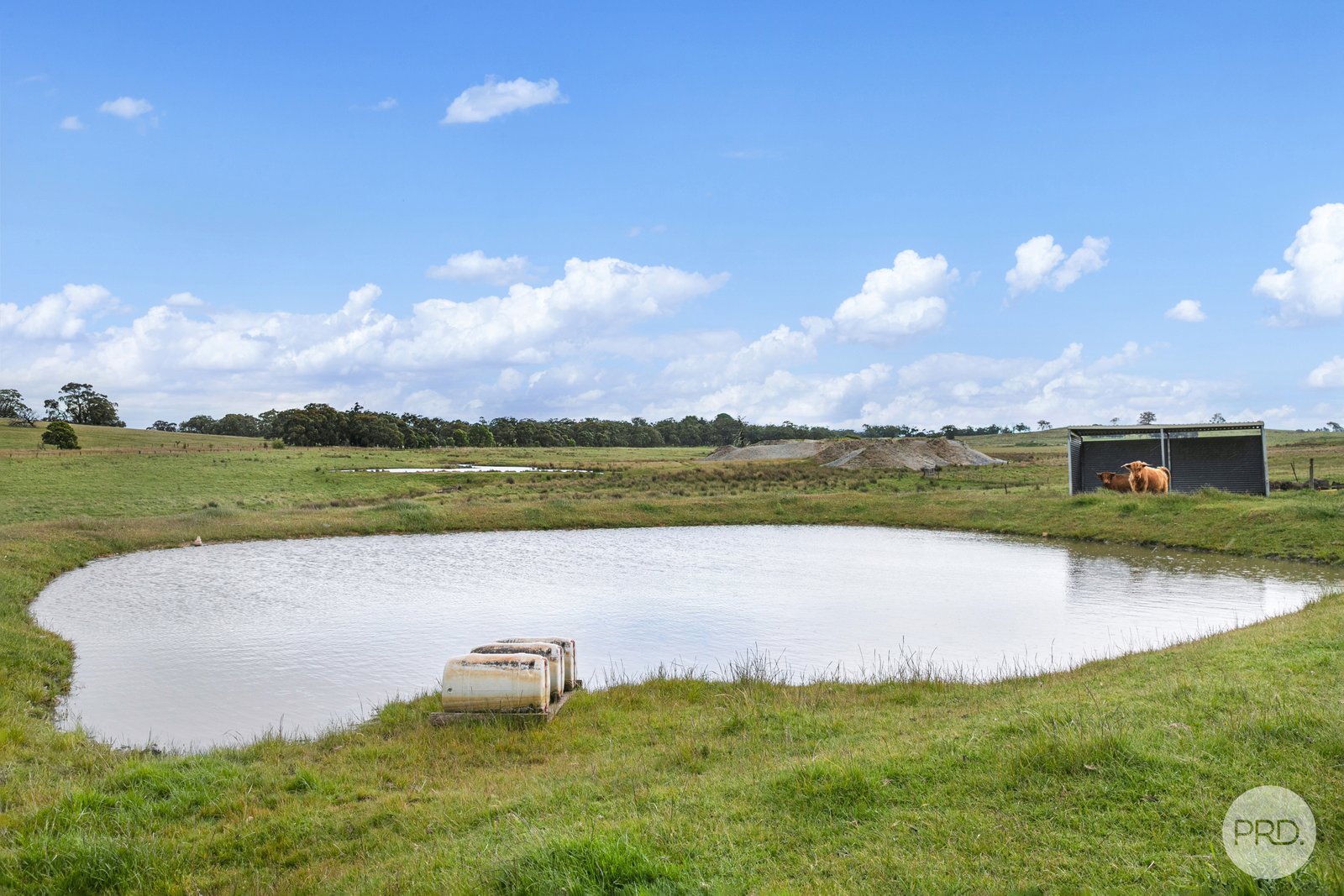 296 Happy Valley Road HAPPY VALLEY 17