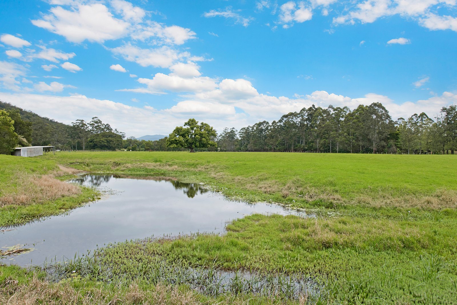 296 Logans Crossing Road LOGANS CROSSING 22