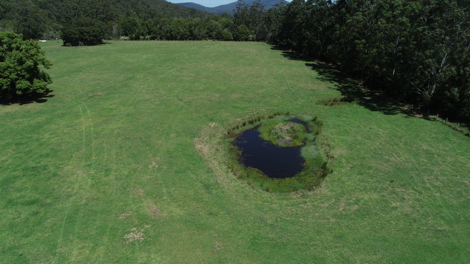 296 Logans Crossing Road LOGANS CROSSING 28