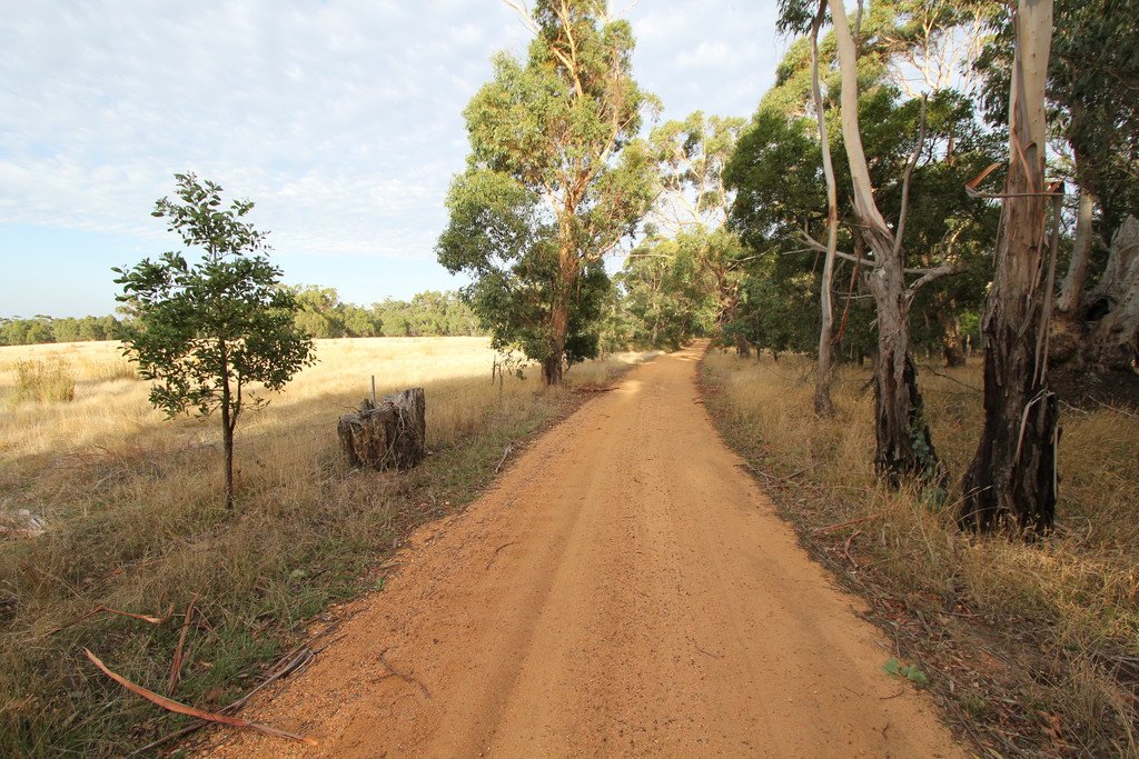 297 Browns Road DEREEL 2