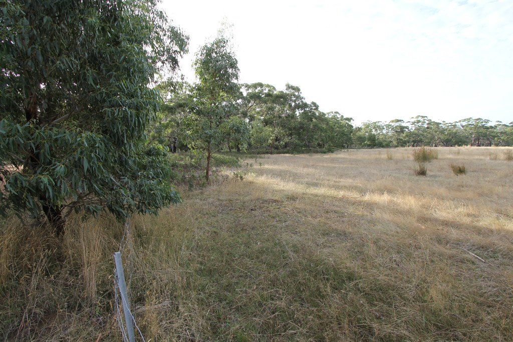 297 Browns Road DEREEL 3