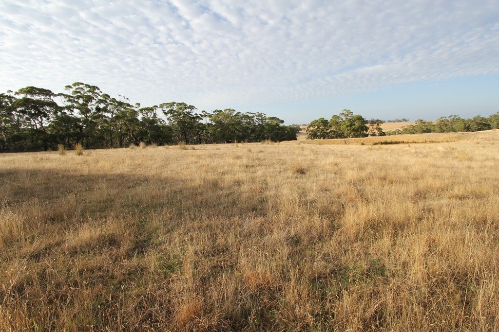 297 Browns Road DEREEL 4