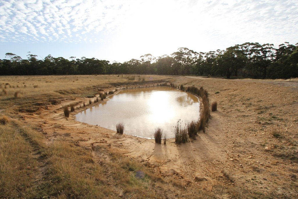 297 Browns Road DEREEL 5