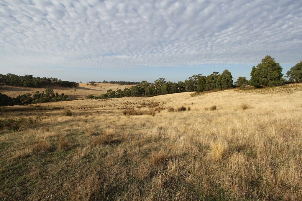 297 Browns Road DEREEL 6