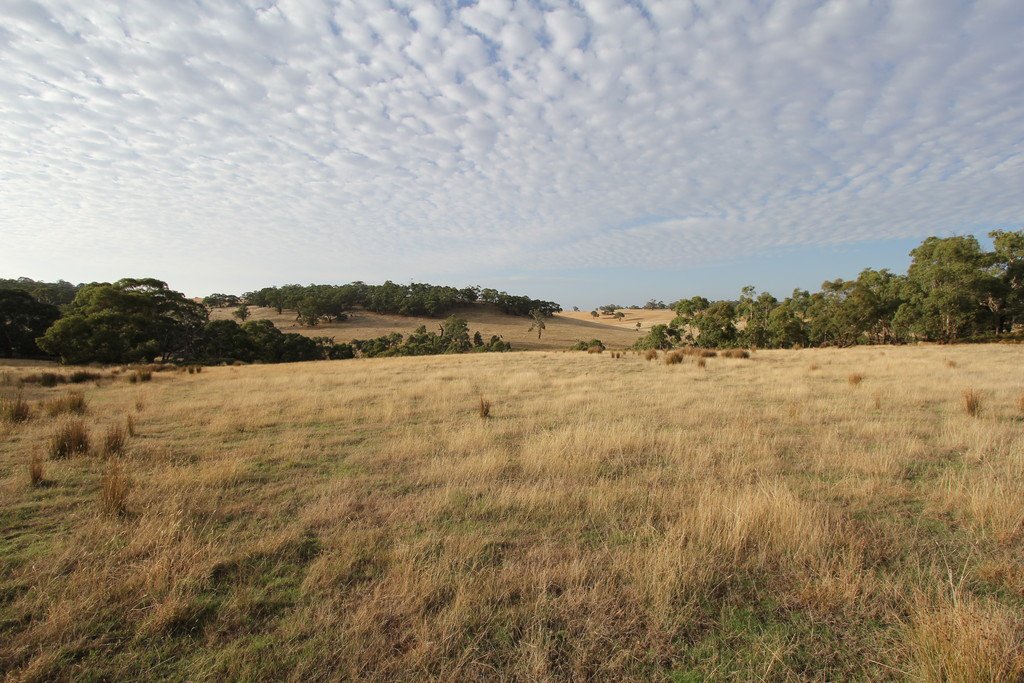 297 Browns Road DEREEL 7