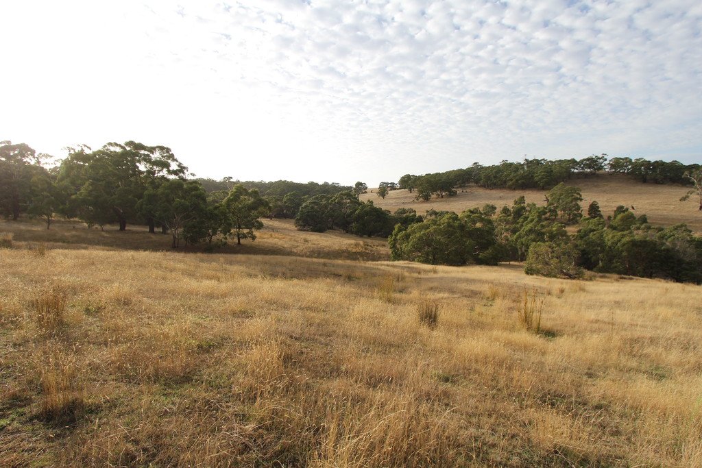 297 Browns Road DEREEL 8