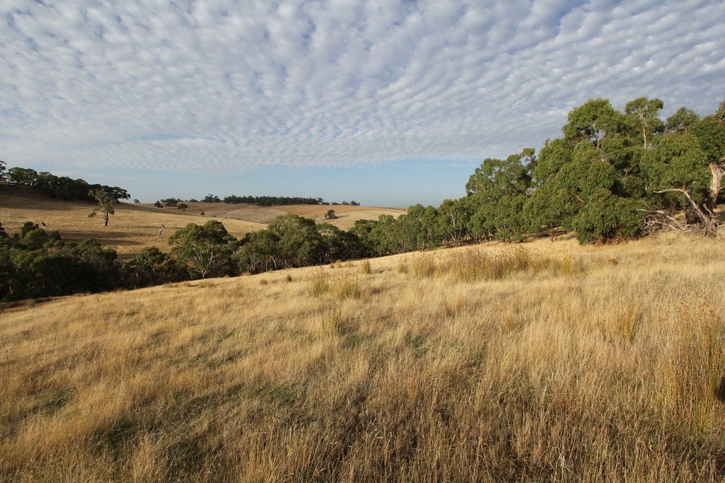 297 Browns Road DEREEL 9