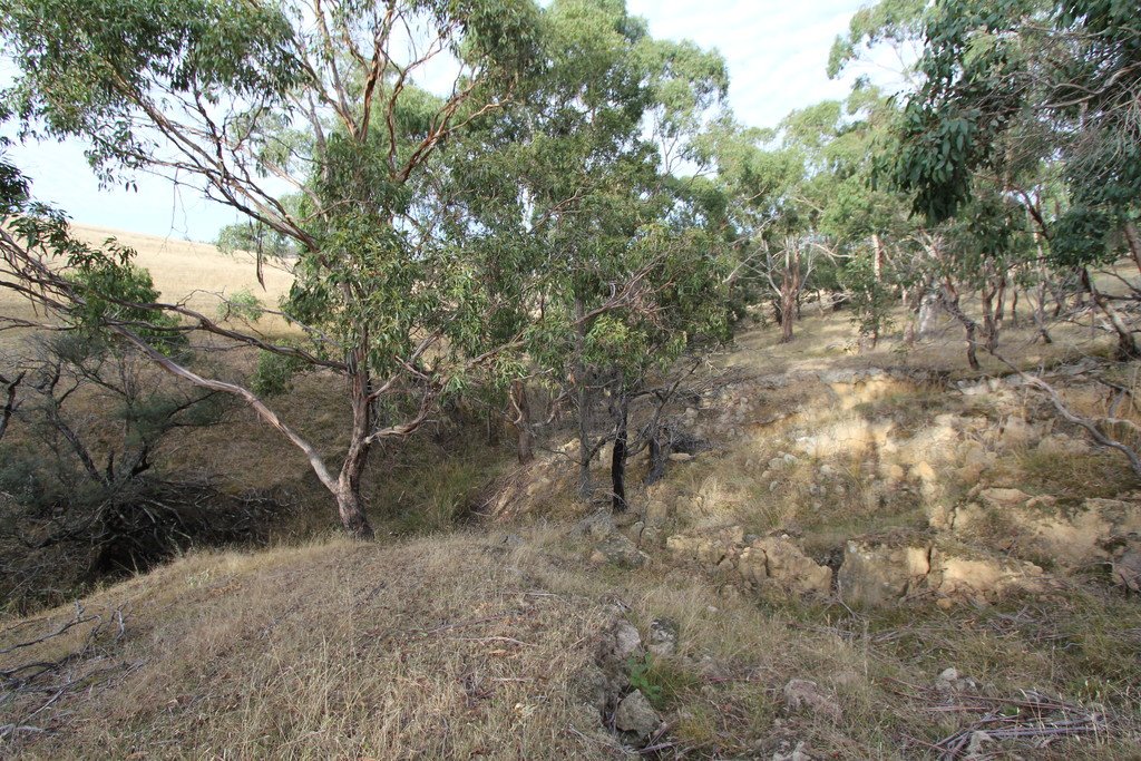 297 Browns Road DEREEL 10