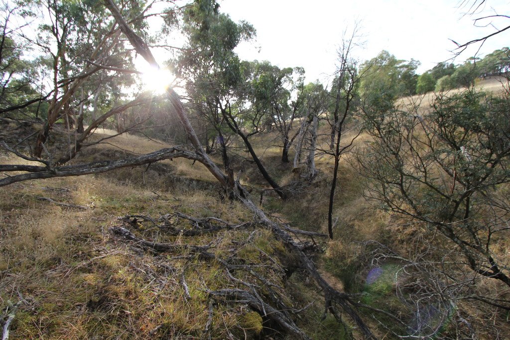 297 Browns Road DEREEL 11