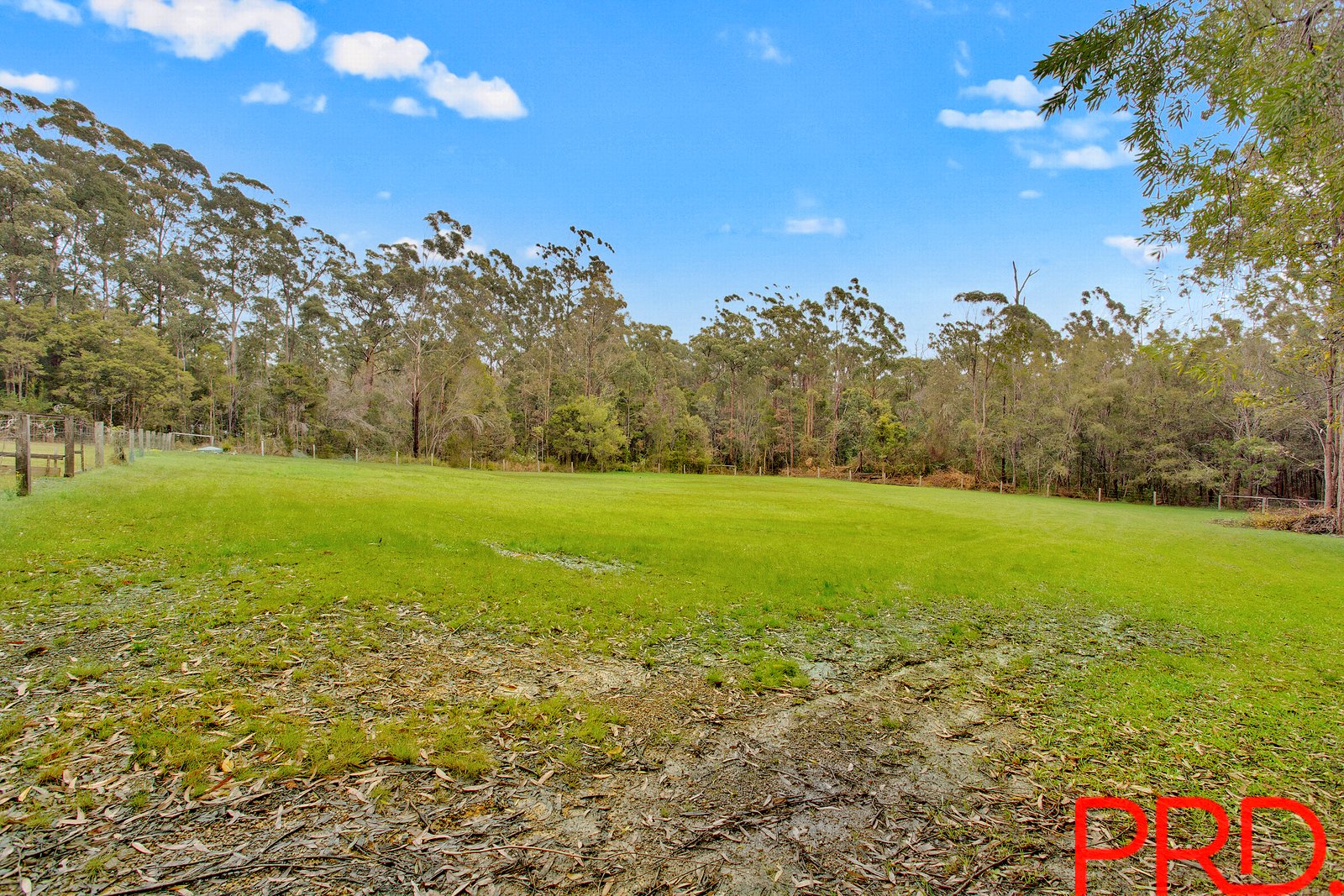 298 Long Point Drive LAKE CATHIE 8