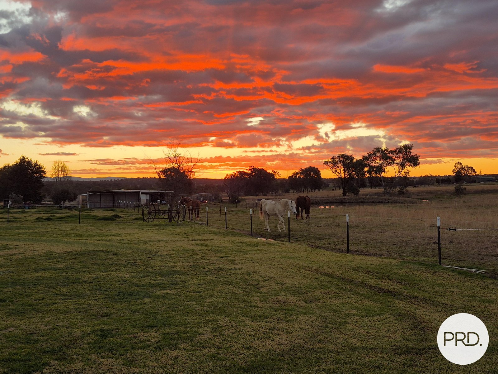 299 Whitehouse Lane TAMWORTH 2