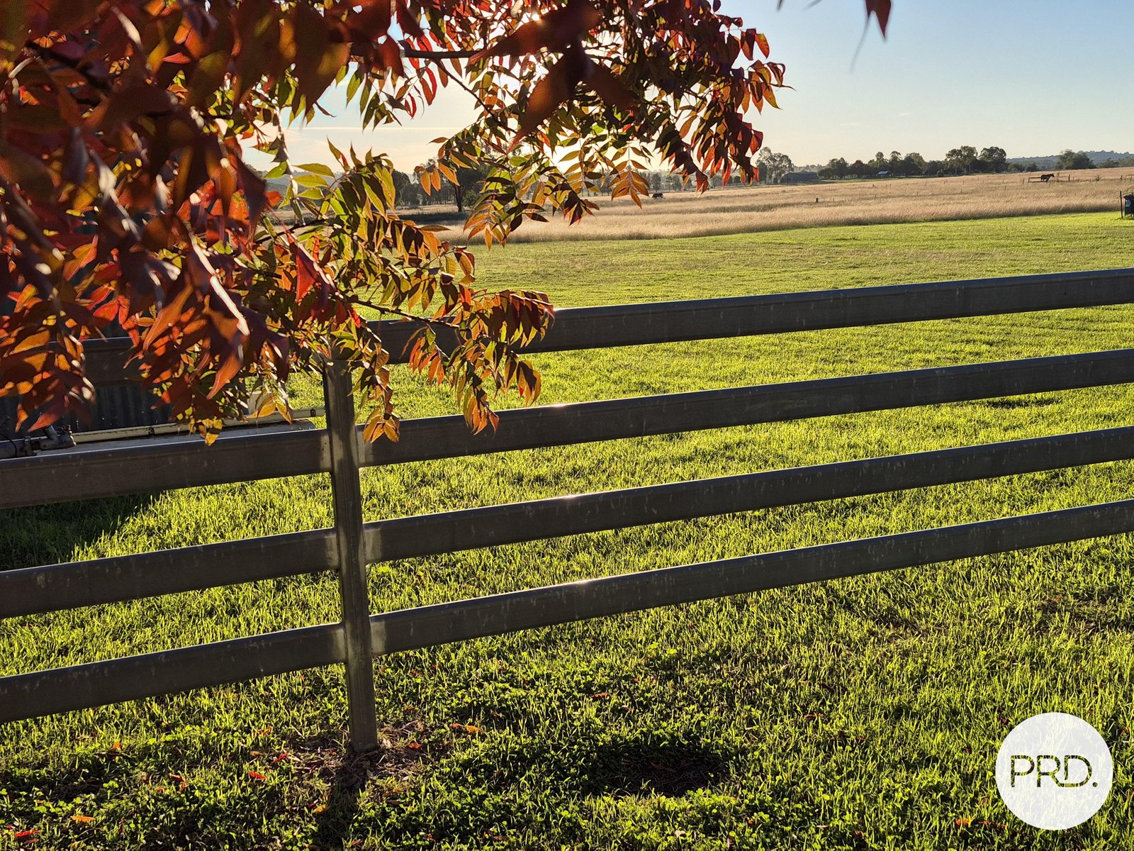 299 Whitehouse Lane TAMWORTH 8